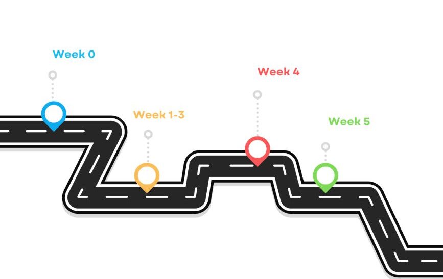 bestfirm process & timeline